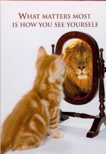 funny-cat-picture-cute-kitty-pic-kitten-looking-in-mirror-seeing-a-lion
